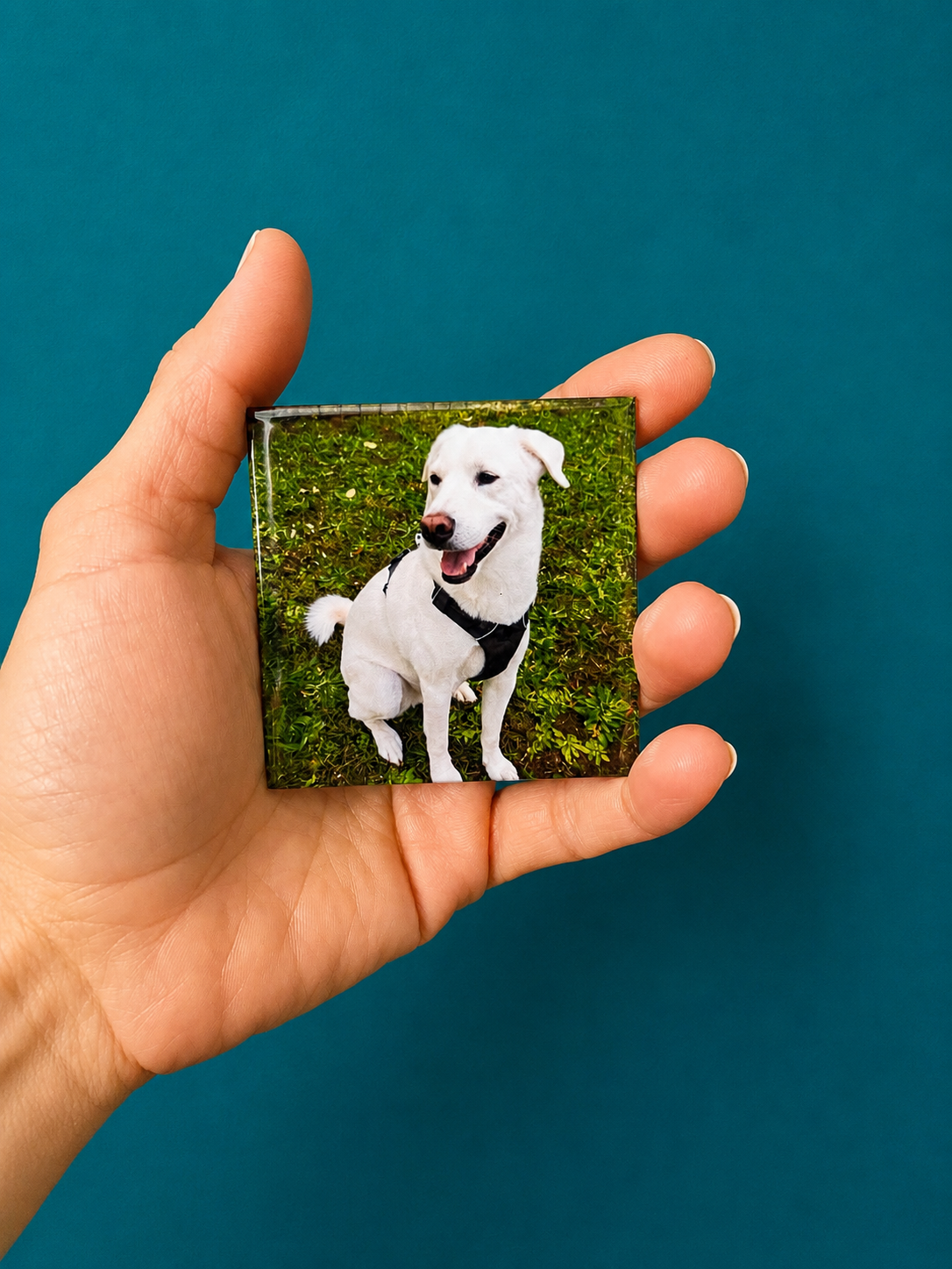 Custom Photo Magnets